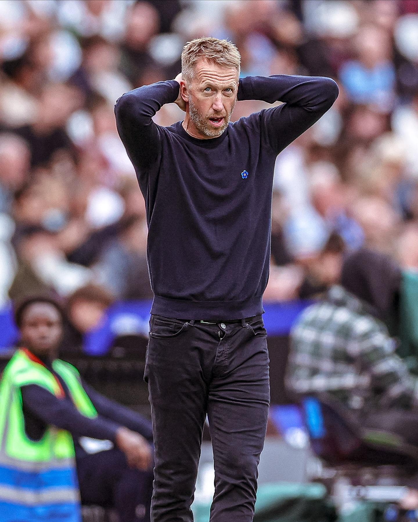 马丁内利补 马丁内利补